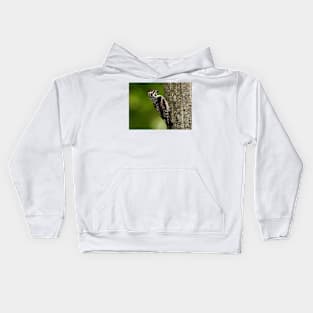 Yellow-bellied Sapsucker Kids Hoodie